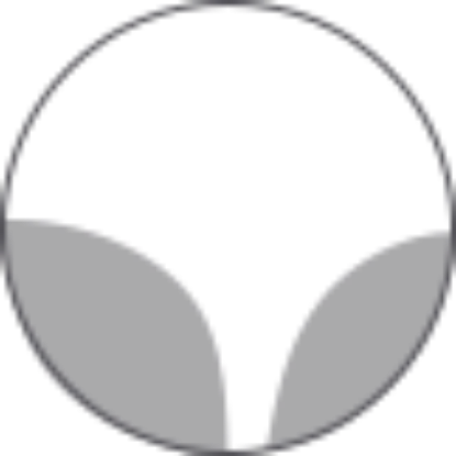 Picture of Progressive Lens - Wileyx ANSI